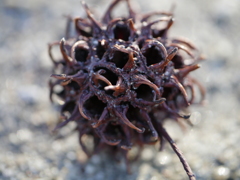 これは・・・なに