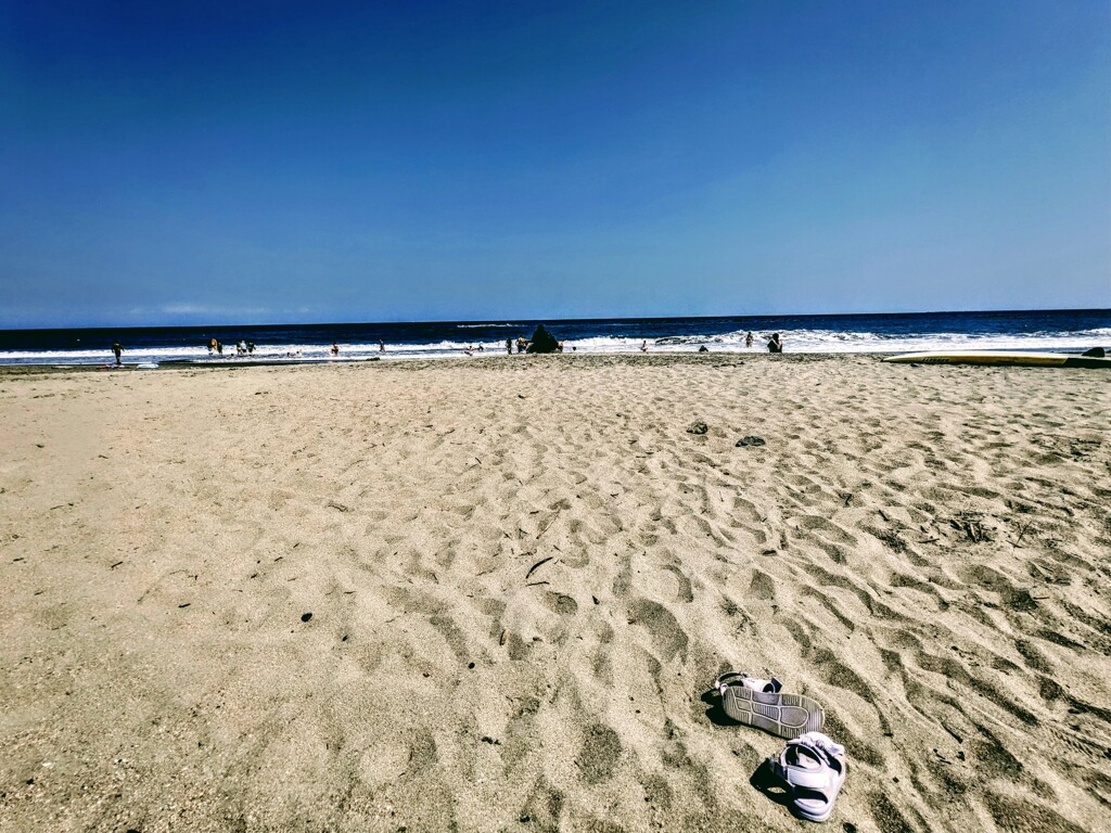 潮風の強い日