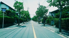 並木通りの昼下り 並木通りの昼下り