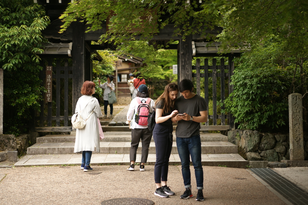 初夏の午後の一頁
