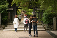 初夏の午後の一頁