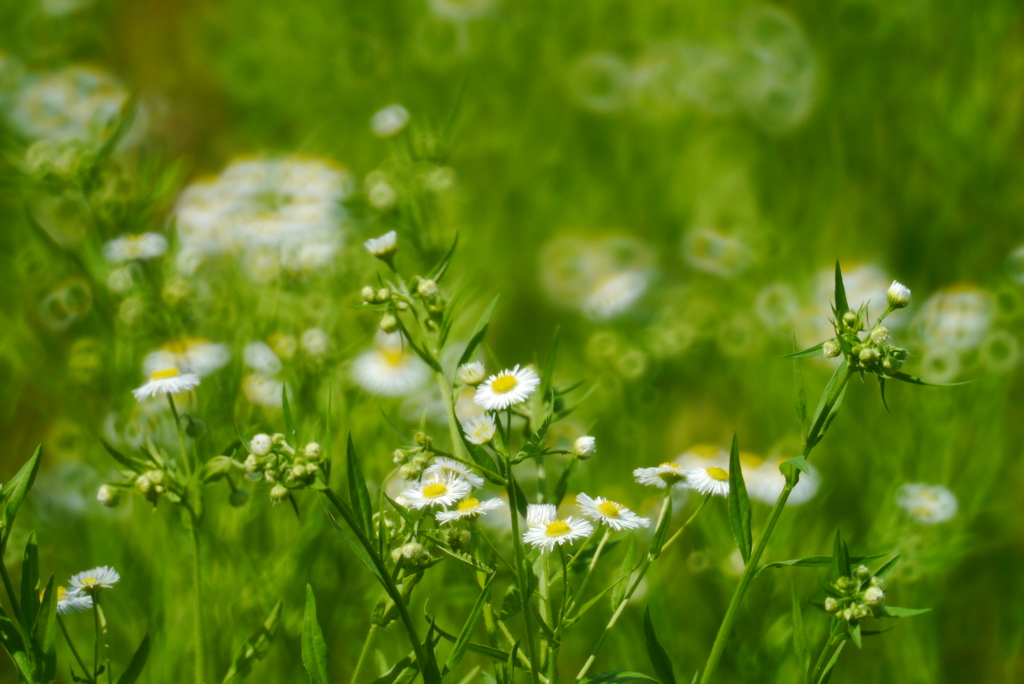 あなたへの贈り物。