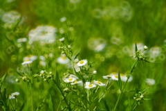 あなたへの贈り物。