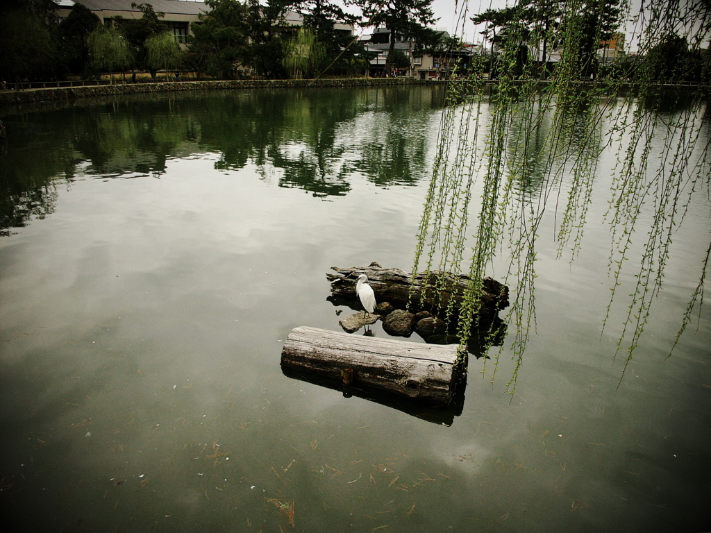 ただ何となく明け暮れる日々