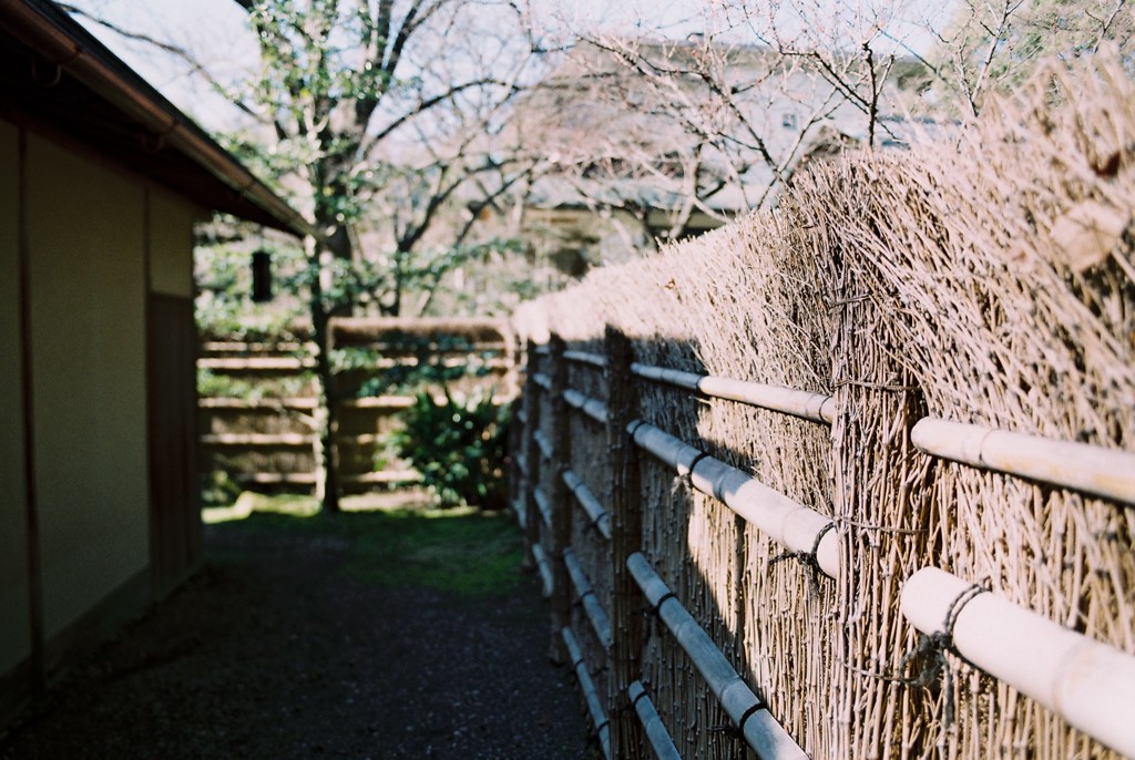 垣根の風景