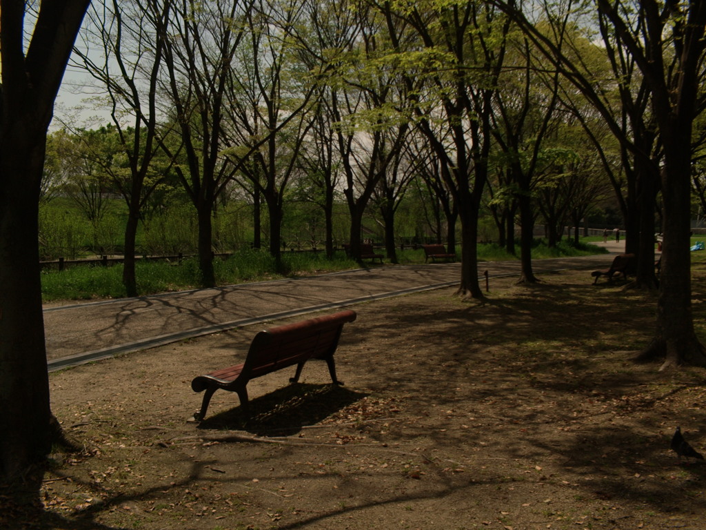 陽の風景