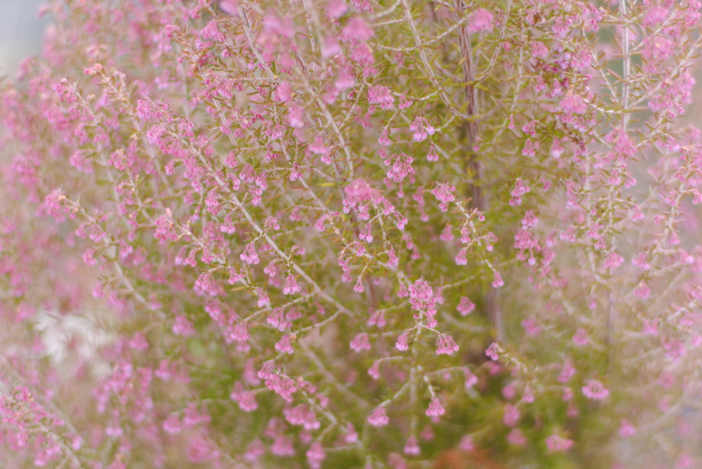 from spring