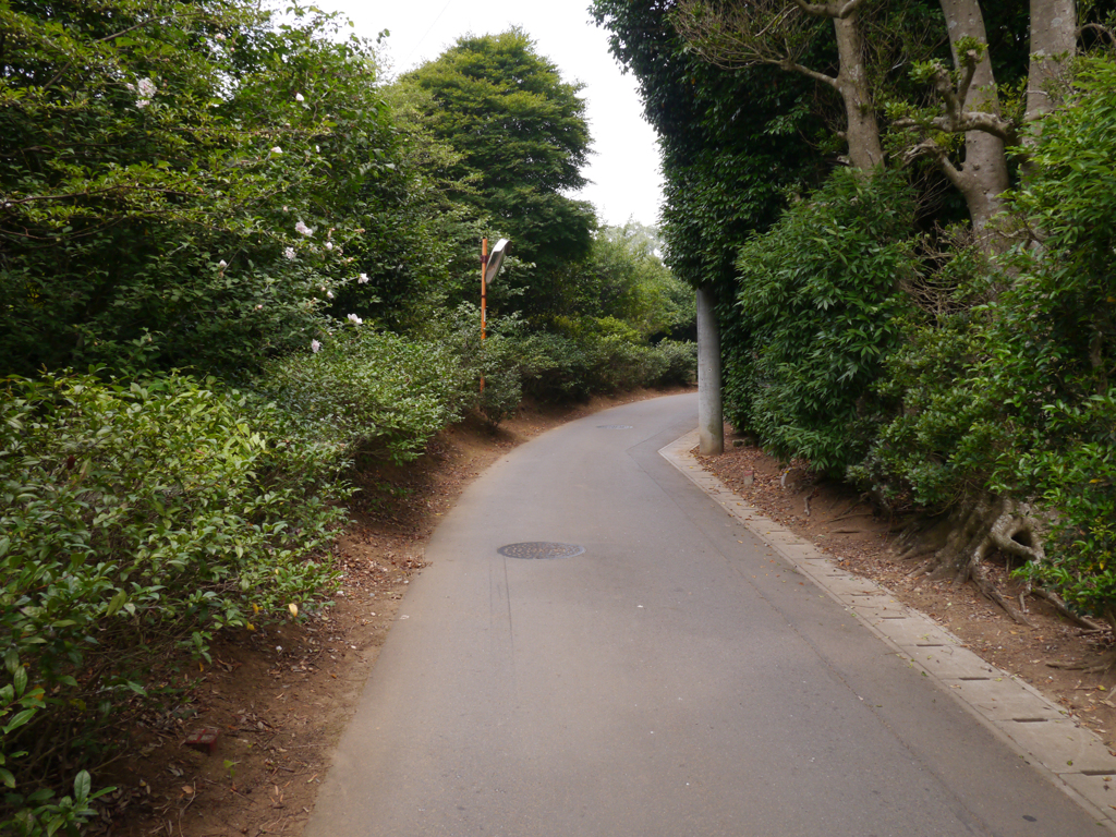 普通の曲がり角