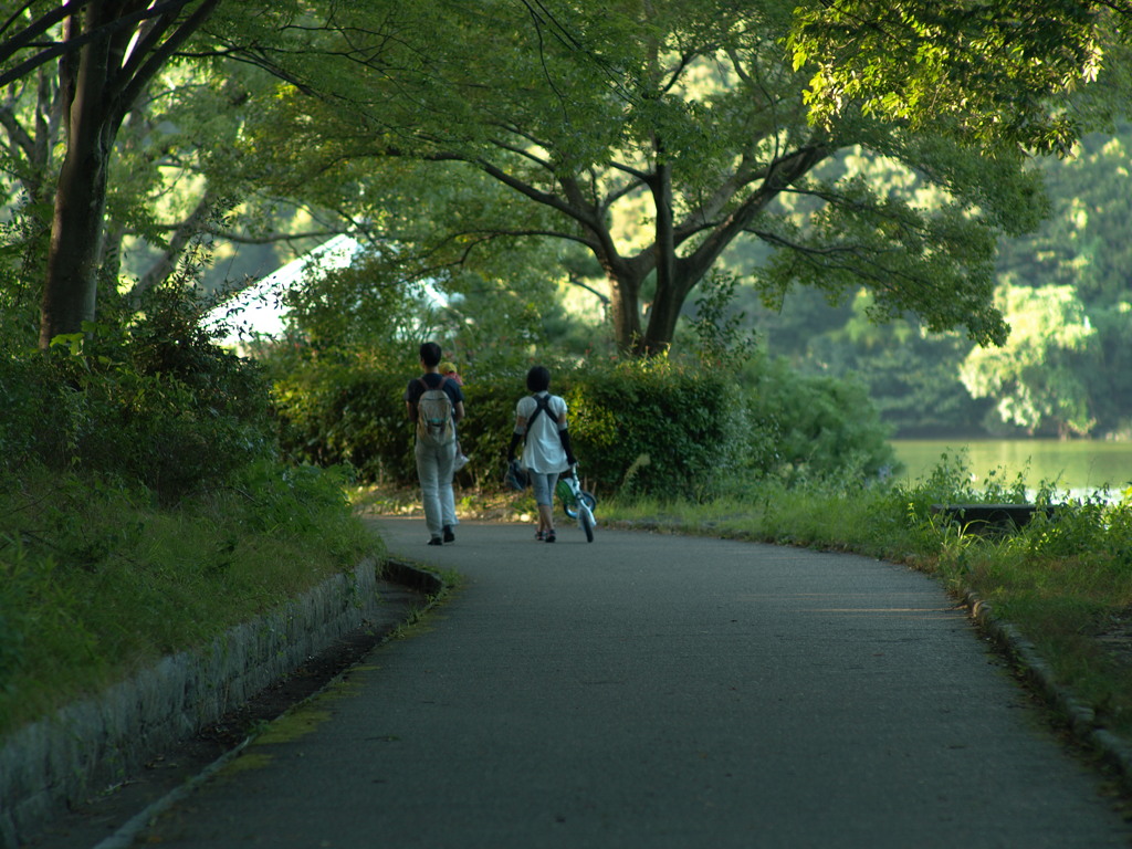 秋風の遊歩道
