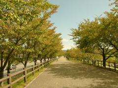 秋口