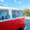 夏空に向って