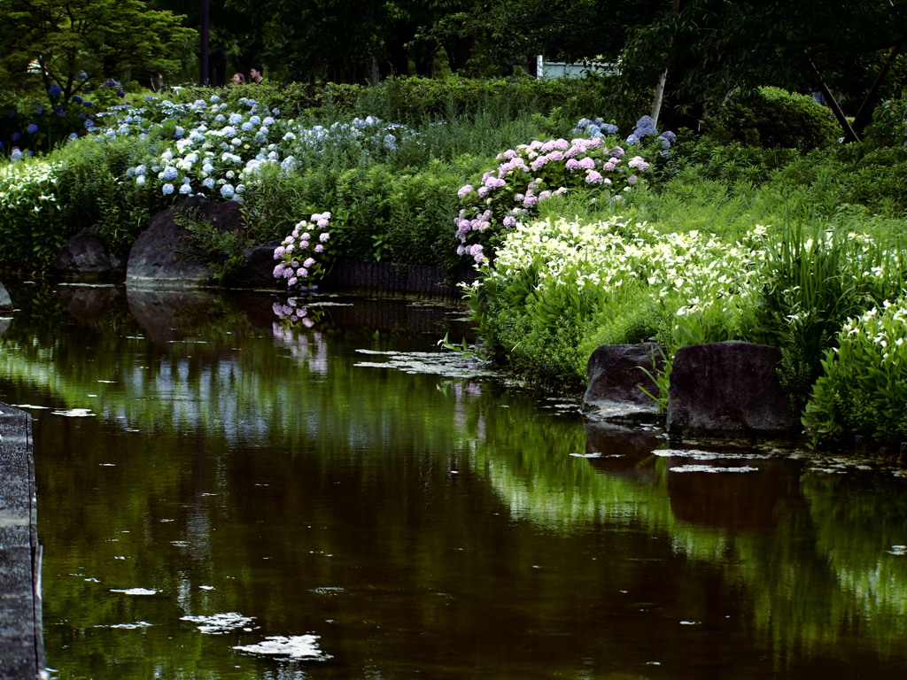 治水の夏