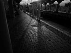 西陽のホーム