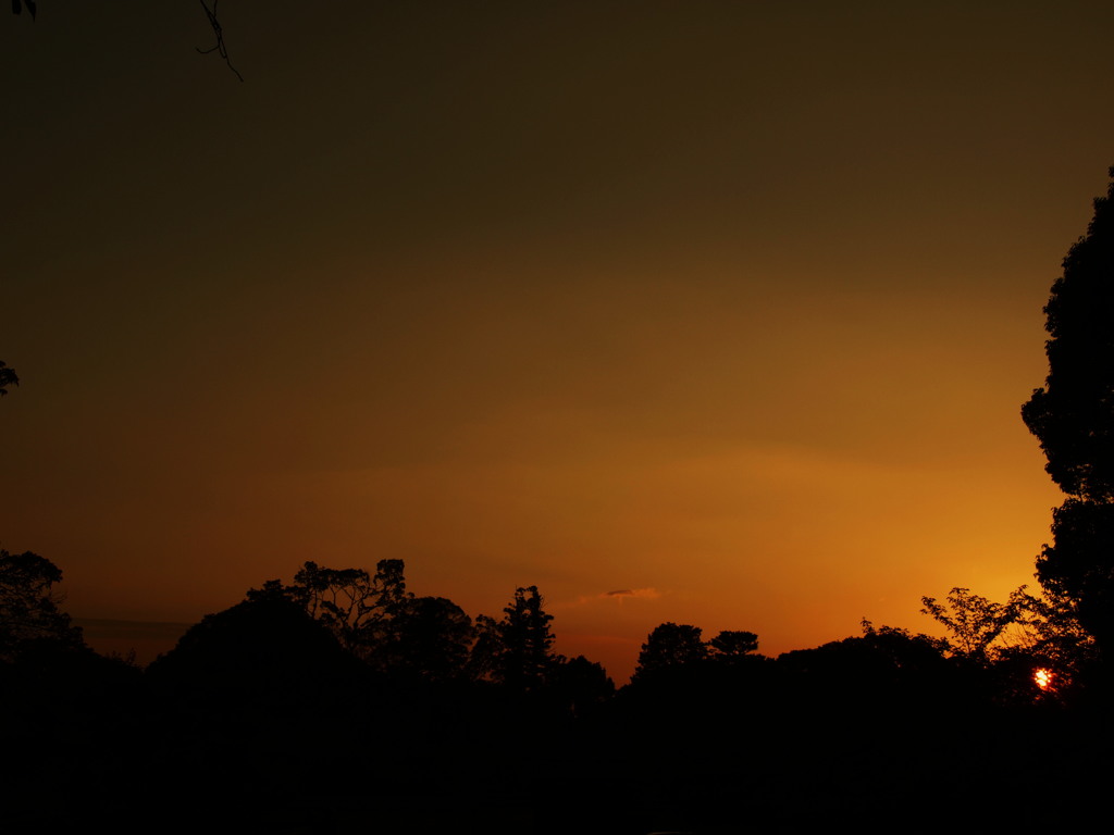 たとえば明日が嫌いでも