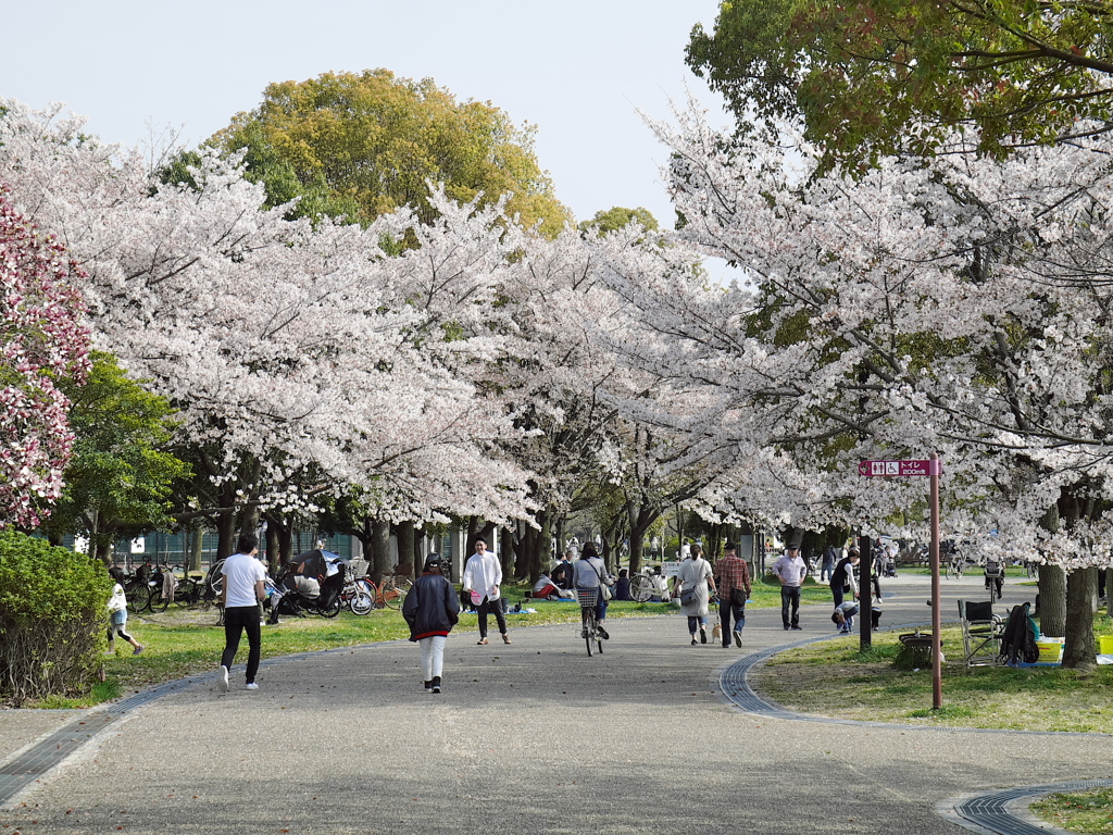 晴れた日の日曜日