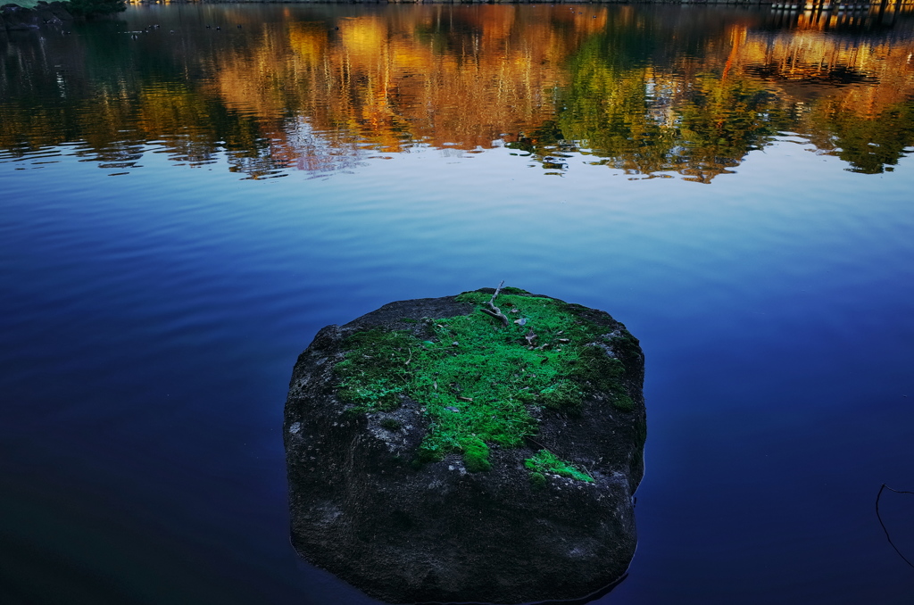池の石