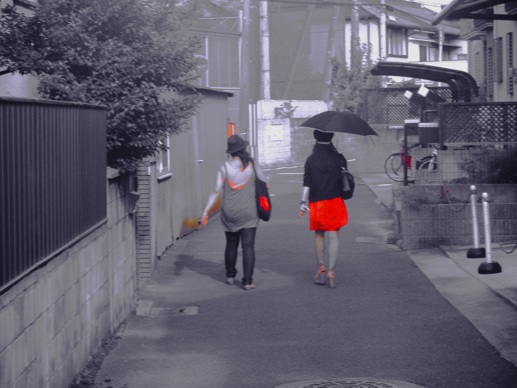 赤い夢・明日への期待