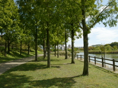 natural park