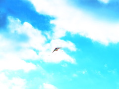 そらをとる。