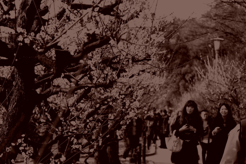 弥生・七つ下がり