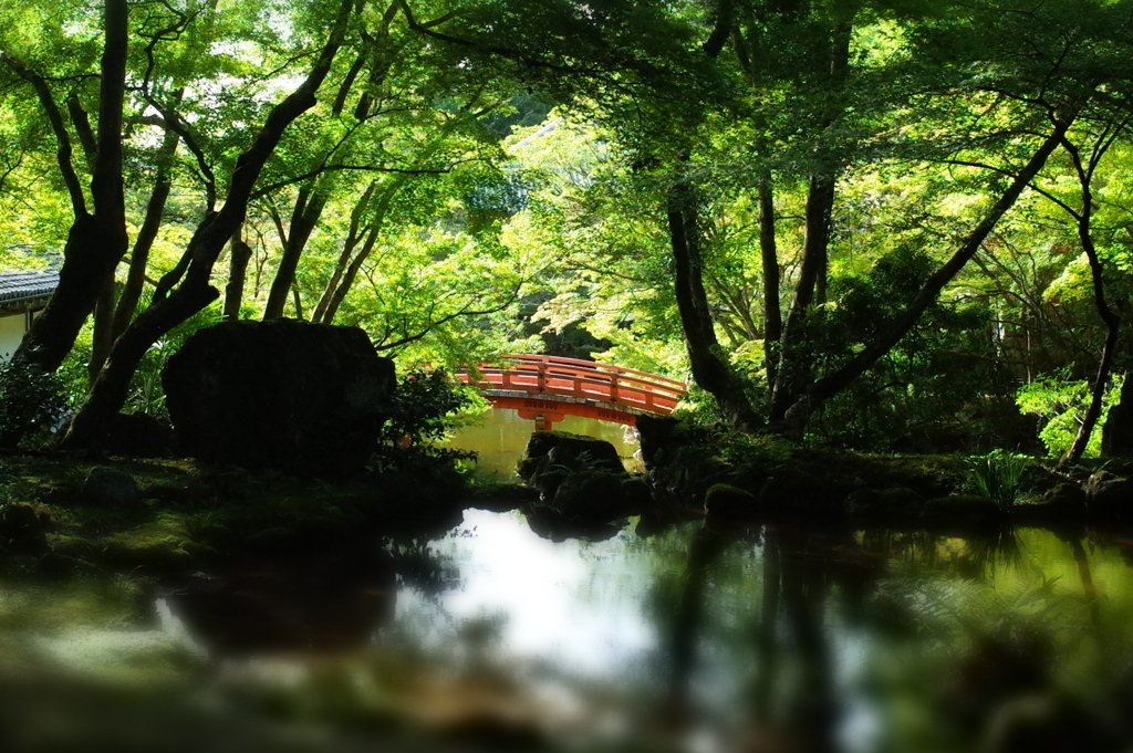 夏の醍醐寺