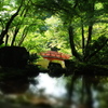 夏の醍醐寺