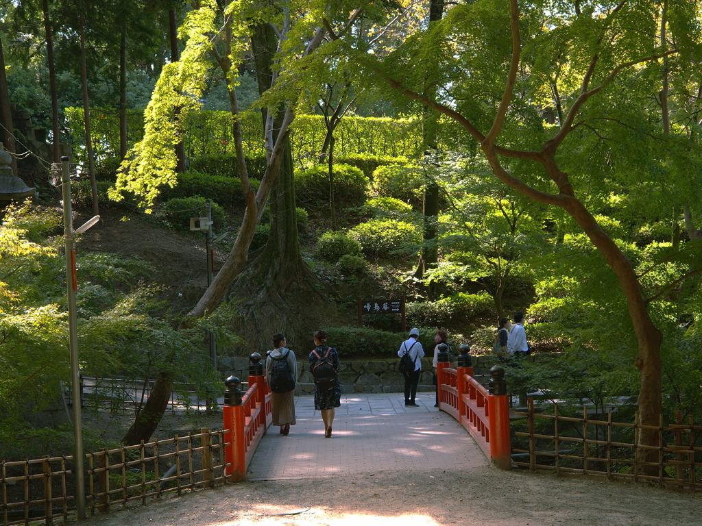 見開きの景色