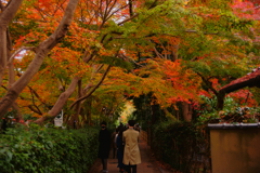 束の間の休日