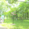緑の休日