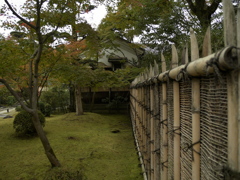 垣根見る