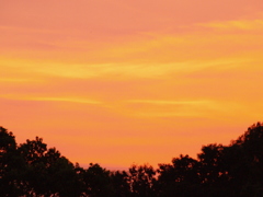 涼しくない夕涼み