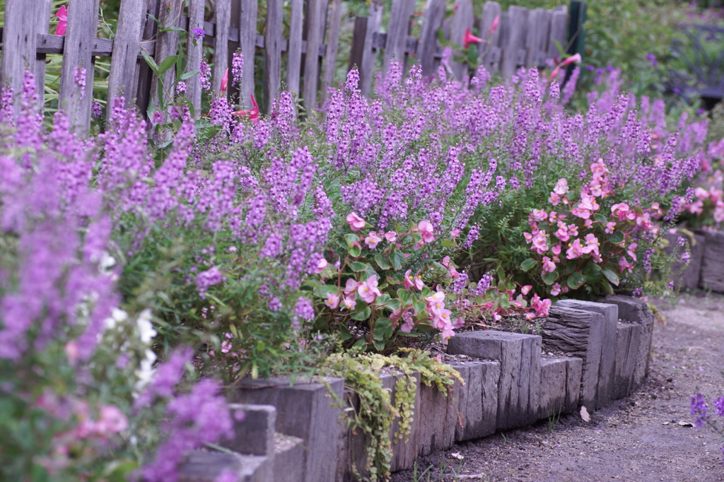 afternoonはシャワーの後で