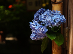 開き戸