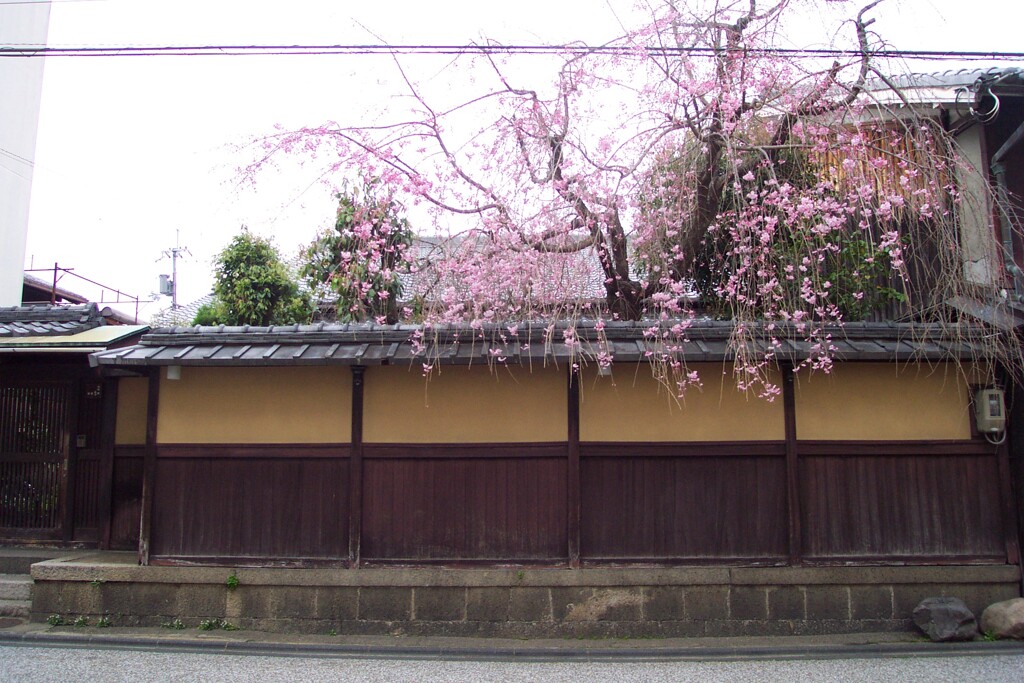 酒造の街並み
