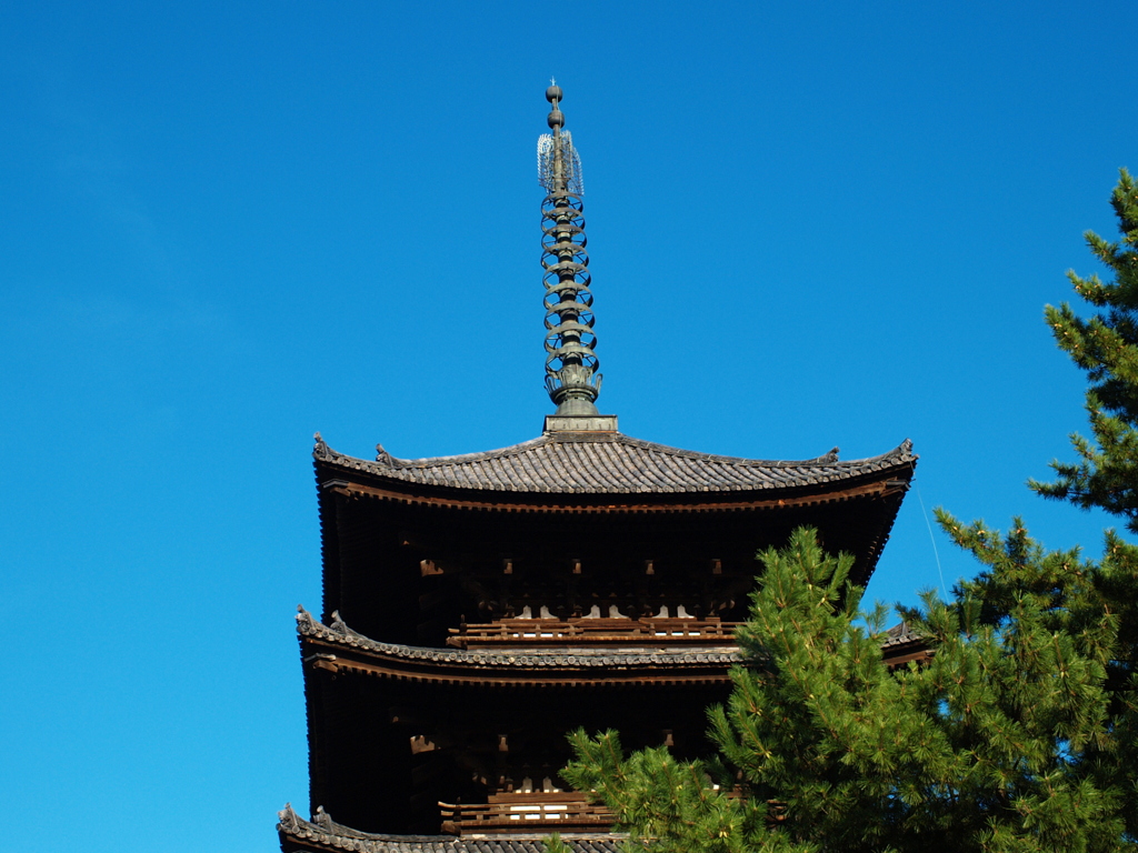 秋空
