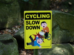 cycling slowdawn
