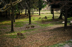 そのひとたちの午後
