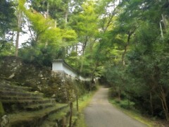 涼を求めて大原へ