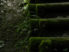 木の段