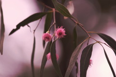 いまはもう秋？