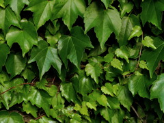 遙か太古を想わざる