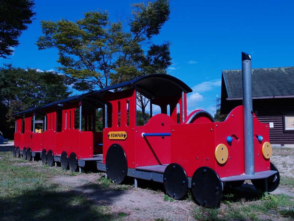 今なら空も飛べるはず