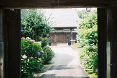 水無月の寺院