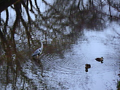 ぼくらはここの人気者