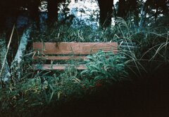 枯れ置きベンチ