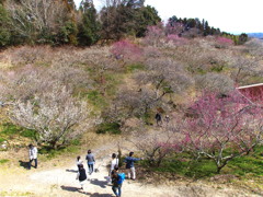 谷の宴