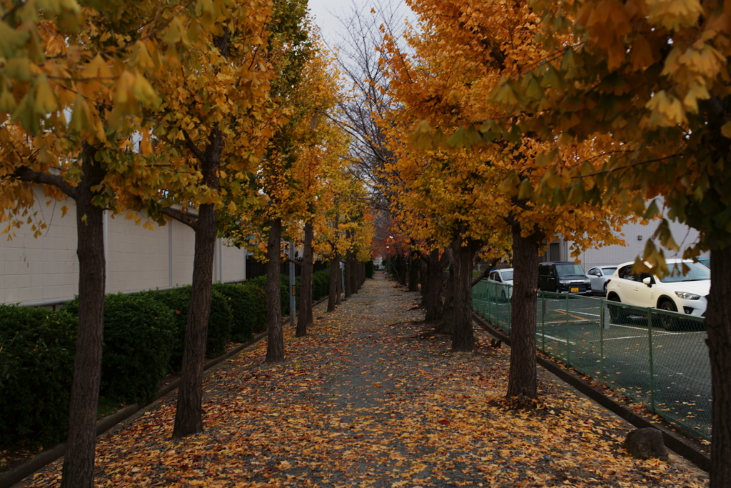 隣町の晩秋