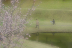土筆の便り