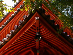 三重の緑葉