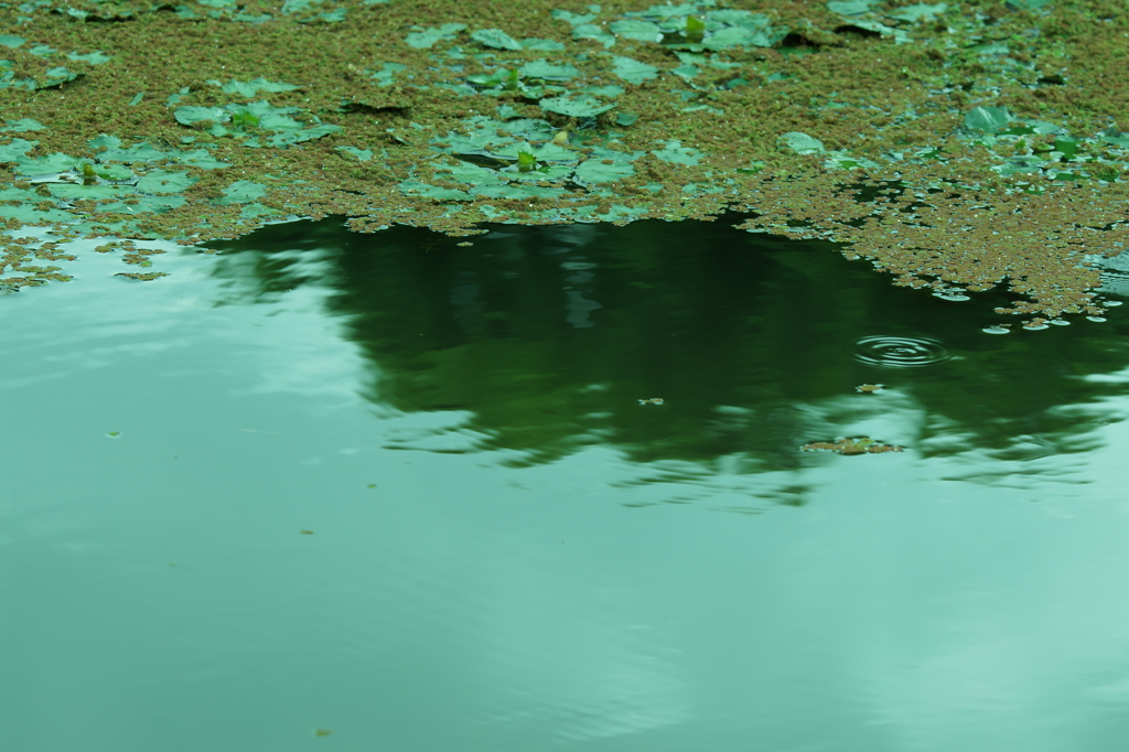 静